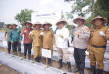 Gerakan Tanam (Gertam) Cabai di Walantaka, Kota Serang. Foto: Aden Hasanudin