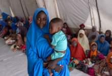 Gizi buruk paling parah terjadi di Negeria Utara. Foto: MSF