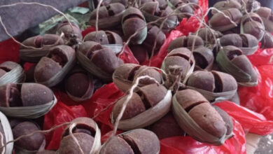 Produksi Gula Aren dari Kaupaten Lebak. Foto: LKBN Antara