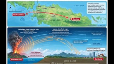 Gambaran getaran dan dentuman erupsi Gunung Anak Kraktau yang menjangkau 3 provinsi. Foto Antara