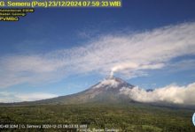 Gunung Semeru erupsi. Foto: Antara