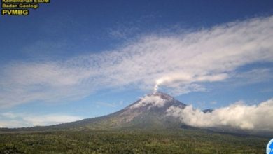 Gunung Semeru erupsi. Foto: Antara