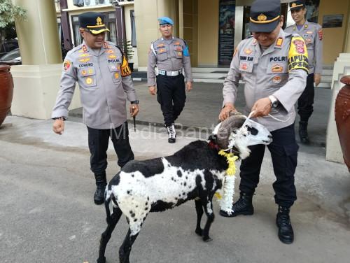 Hadiah kambing dari Kapolres Serang, AKBP Condro Sasongko untuk AKP Ujang yang memasuki purna bakti. Foto: Yono