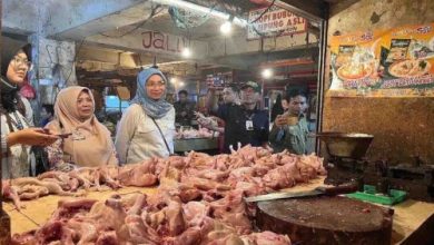 Pedagang daging ayam ras. Foto: Antara