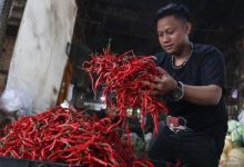 Harga cabai merah tingkat konsumen. Foto: Antara