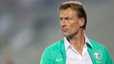 herve renard