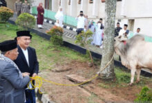 Bantuan Hewan Kurban dari Pemkab Tangerang. Foto: LKBN Antara