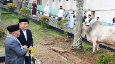 Bantuan Hewan Kurban dari Pemkab Tangerang. Foto: LKBN Antara
