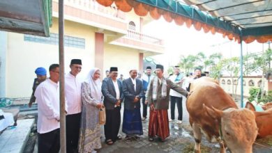 Hewan Kurban Presiden RI, Prabowo Subianto. Foto: Antara