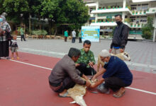 Penyerahan hewan kurban di SMa Muhi Yogyakarta. Foto: Yusron Ardi Darma