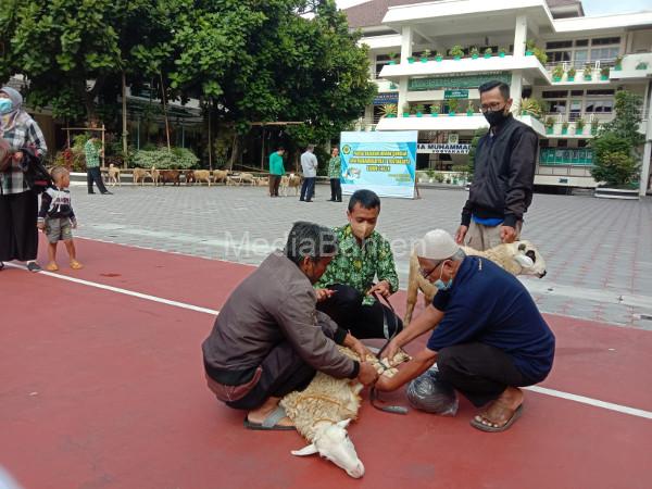 Penyerahan hewan kurban di SMa Muhi Yogyakarta. Foto: Yusron Ardi Darma