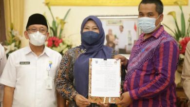 Bupati Pandeglang, Irna Naurlita