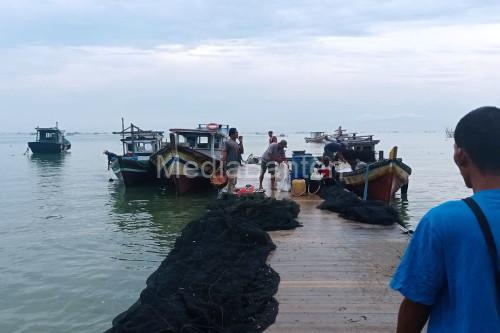 Fenomena ikan naik ke darat di Pantai Pulomanuk. Foto: Antara