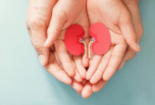 Ilustrasi kerusakan ginjal. Foto: Istimewa