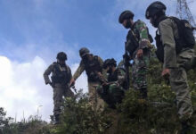 Ilustrasi prajurit TNI dan Polri patroli di Nduga, Papua. Foto: CNNIndonesia