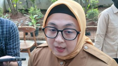 Intan Nurul Hikmah, Wakil Bupati Tangerang. Foto: Antara