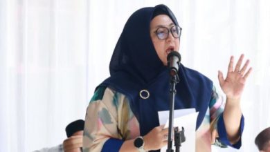 Intan Nurul Hikmah, Wakil Bupati Tangerang. Foto: Antara