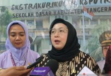 Intan Nurul Hikmah, Wakil Bupati Tangerang. Foto: Antara