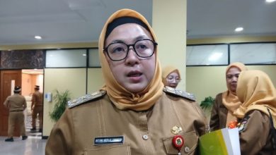 Intan Nurul Hikmah, Wakil Bupati Tangerang. foto: Antara