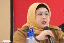 Intan Nurul Hikmah, Wakil Bupati Tangerang. Foto Antara