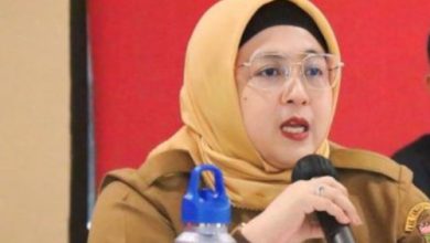 Intan Nurul Hikmah, Wakil Bupati Tangerang. Foto Antara