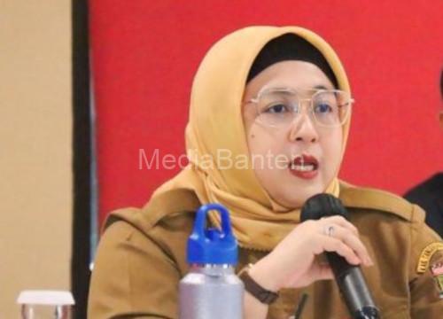 Intan Nurul Hikmah, Wakil Bupati Tangerang. Foto Antara