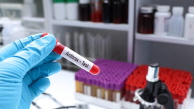 Penyakit Antraks. Foto: Istockphoto