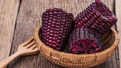 kecantikan jagung ungu