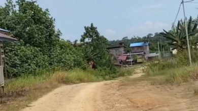 Kondisi jalan di sebuah desa di Provinsi Banten. Foto: Antara