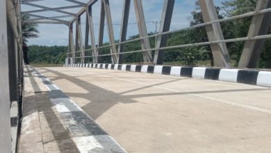 Jembatan Impian di Kampung Sereh, Desa Cikedal, Kabupatn Pandeglang. Foto: Budi Wahyu Iskandar