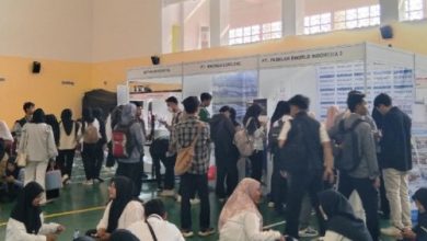 Job Fair Hybrid yagn digelar Disnakertrans Kabupaten Serang dan Untirta. Foto: Antara