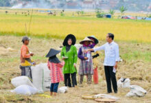 Presiden RI, Joko Widodo ketika di Bandung. Foto: BPMI SatPres RI