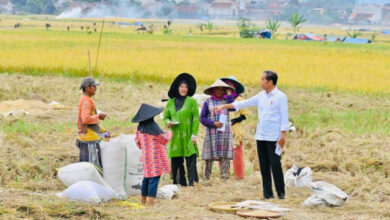 Presiden RI, Joko Widodo ketika di Bandung. Foto: BPMI SatPres RI