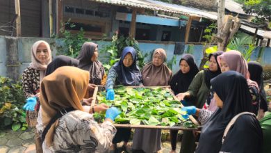 Kampung Sirih di Neglasari, Kota Tangerang merupakan realisasi CSR dari Pertamina. Foto: Humas Pertamina RJBB