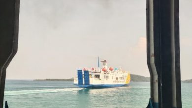Kapal Ferry di Selat Sunda. Foto: Antara