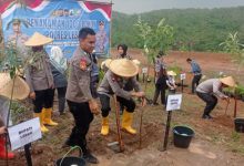 Kapolda Banten,Irjen Pol Hengki lakukan gerakan menanam pohon di Desa Sangiang Tanjug, Lebak. Foto Antara