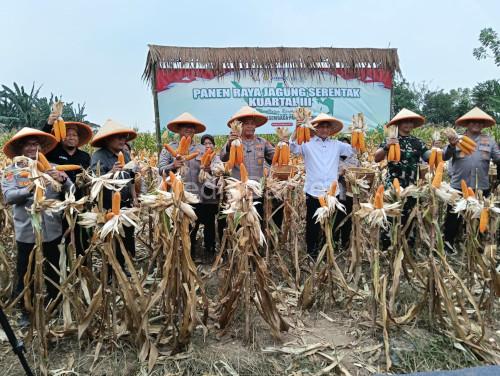 Kapolda Bante, Irjen Pol Hengki dan Kapolres Serang, AKBP Condro Sasongko panen raya jagung serentak. Foto: Yono