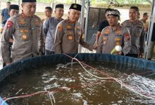Kapolda Banten, Irjen Pol Suyudi Aria Seto tinjau pembesaran ikan lele dan nila merah. Foto: Yono