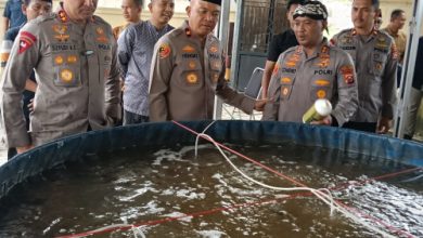 Kapolda Banten, Irjen Pol Suyudi Aria Seto tinjau pembesaran ikan lele dan nila merah. Foto: Yono