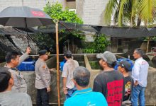 Kaplolres Serang AKBP Condro Sasongko berikan 15.000 benih ikan lele di Carenang. foto: Yono