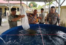 Kapolres Serang, AKBP Condro Sasongko menambah bioflok untuk mengoptimalkan program ketahanan pangan. Foto: Yono