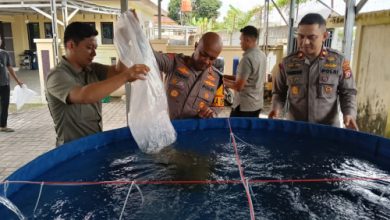 Kapolres Serang, AKBP Condro Sasongko menambah bioflok untuk mengoptimalkan program ketahanan pangan. Foto: Yono