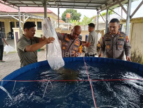 Kapolres Serang, AKBP Condro Sasongko menambah bioflok untuk mengoptimalkan program ketahanan pangan. Foto: Yono