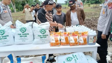 Kapolres Serang, AKBP Condro Sasongko tanam bibit jagung. Foto: Yono