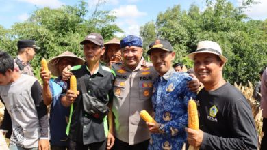 Kapolres Serang, AKBP Condro Sasongko dengan hasil panen jagung. Foto: Yono
