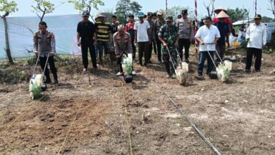 Kapolres Serang, AKBP Condro Sasongko lakukan penanaman jagung kuartal III di Parigi. Foto: Yono