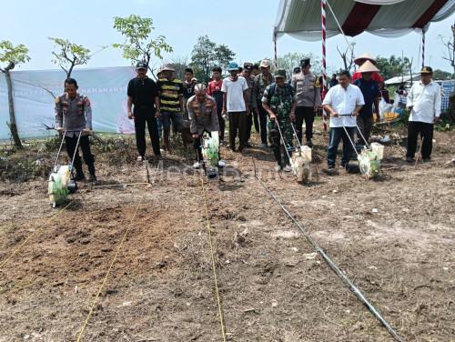 Kapolres Serang, AKBP Condro Sasongko lakukan penanaman jagung kuartal III di Parigi. Foto: Yono