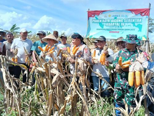 Kapolres Serang, AKBP Condro Sasongko saat panen jagung. Foto Yono