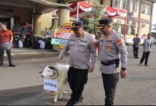 KapolresSerang, AKBP Condro Sasongko memberikan domb garut. Foto: Yono