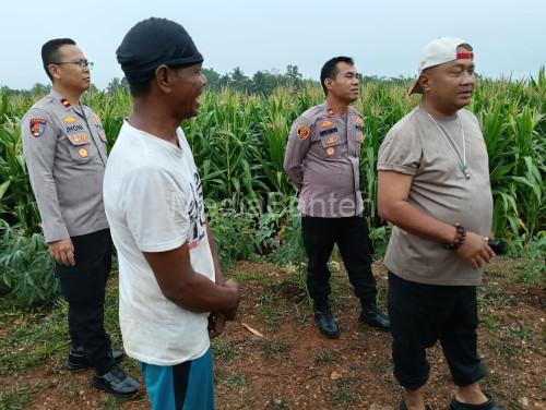 Kapolres Serang, AKBP Condro Sasongko meninjau lahan jagung di Kampung Kabayaran. Foto Yono